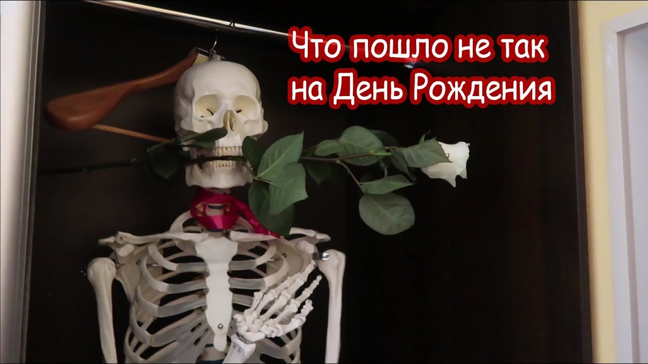 VLOG Что пошло не так в день рождения Насти