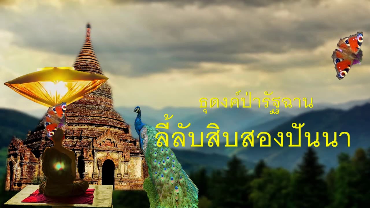 ๑๐๕ ลี้ลับสิบสองปันนา ธุดงค์ป่ารัฐฉาน