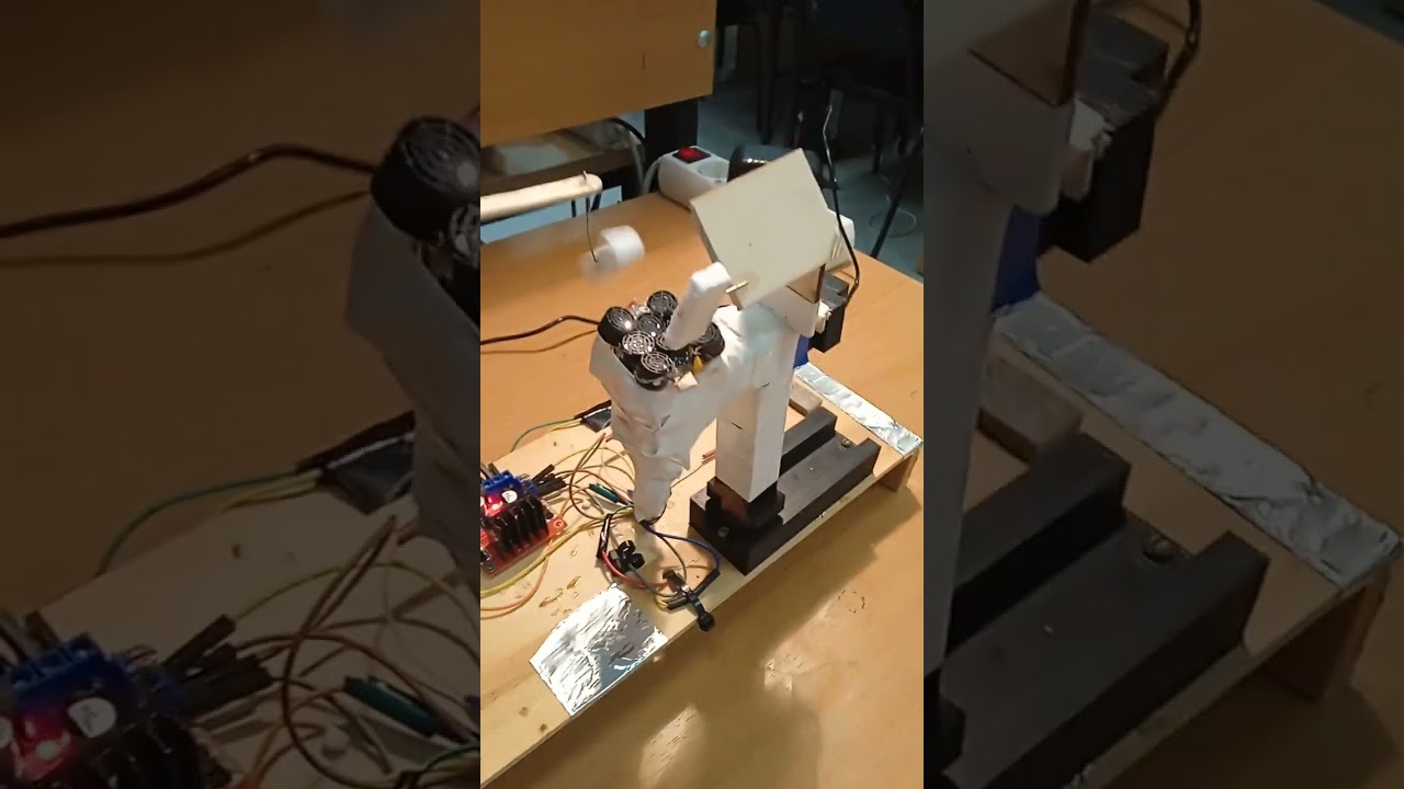 Dual ultrasonic motor