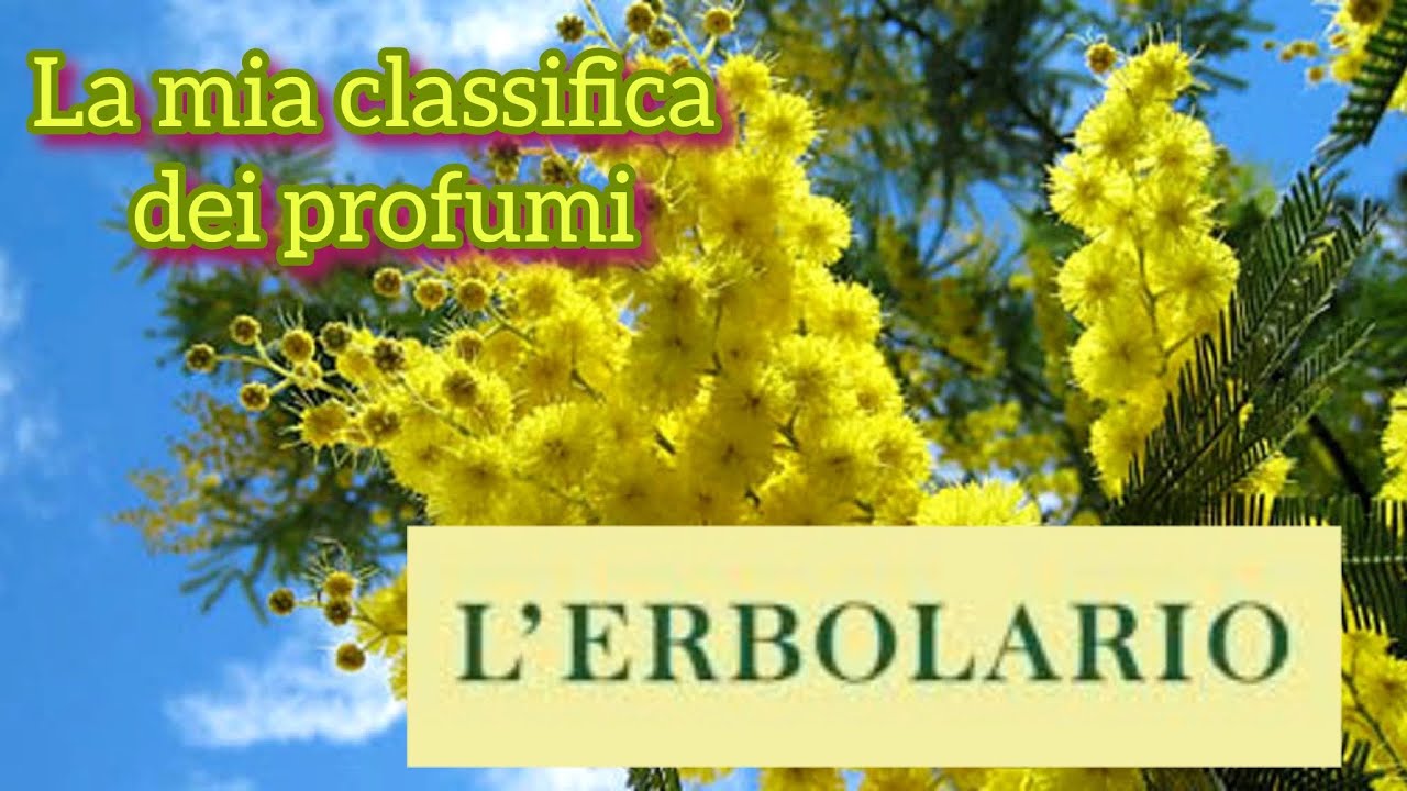 Profumi di L’Erbolario - La mia classifica 💛🏆 #lerbolario #perfume #perfumecollection