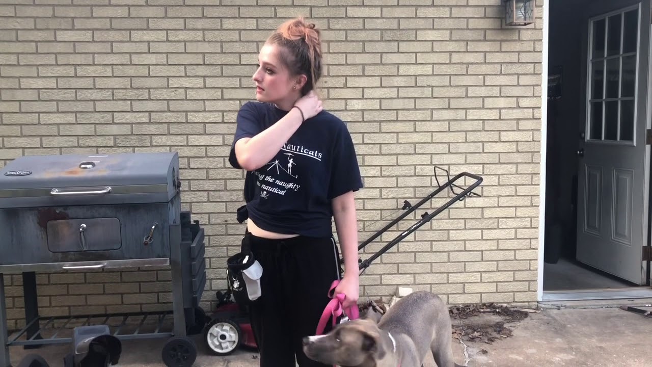 Teach Your Dog Pull Momentum/Guide Work!