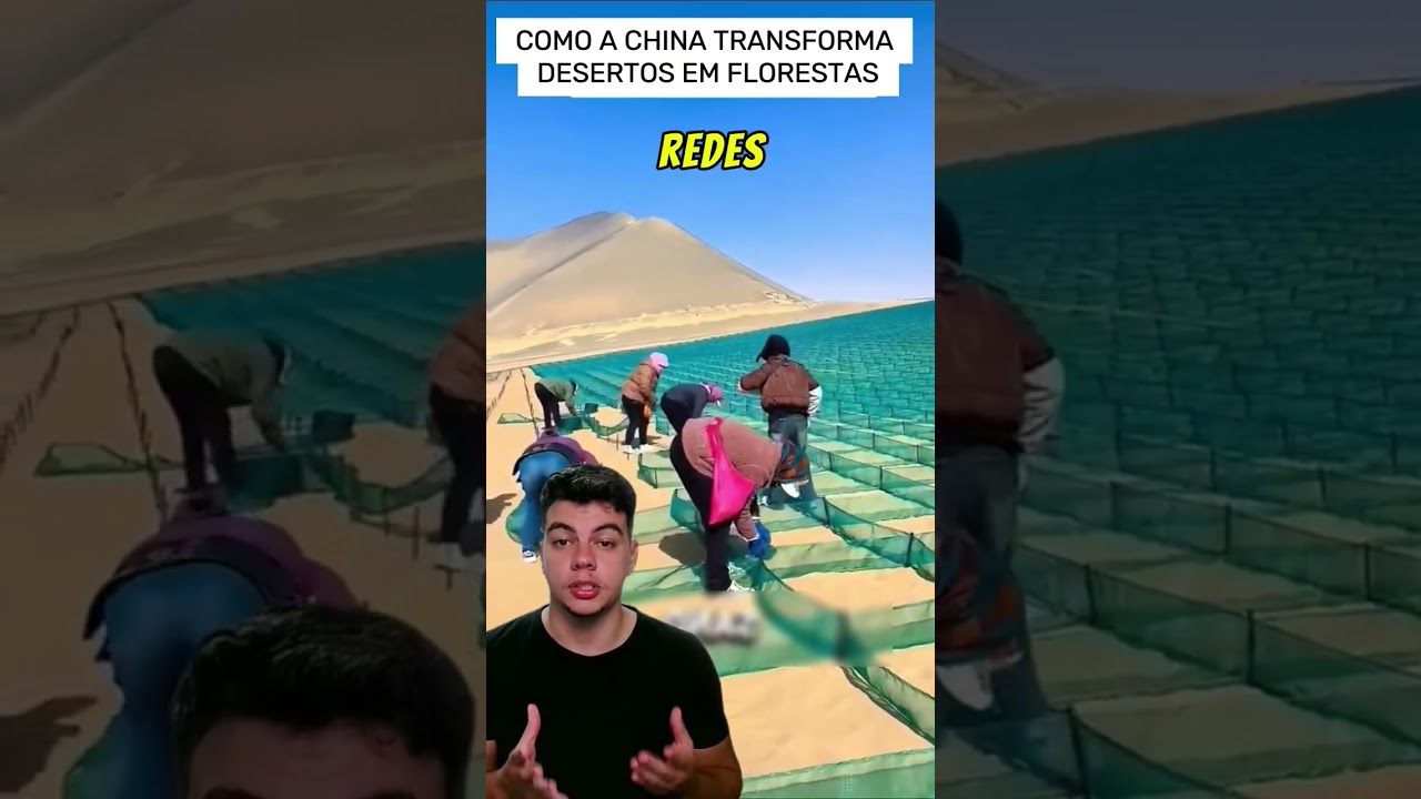 Como a china transforma desertos em florestas #deserto #china