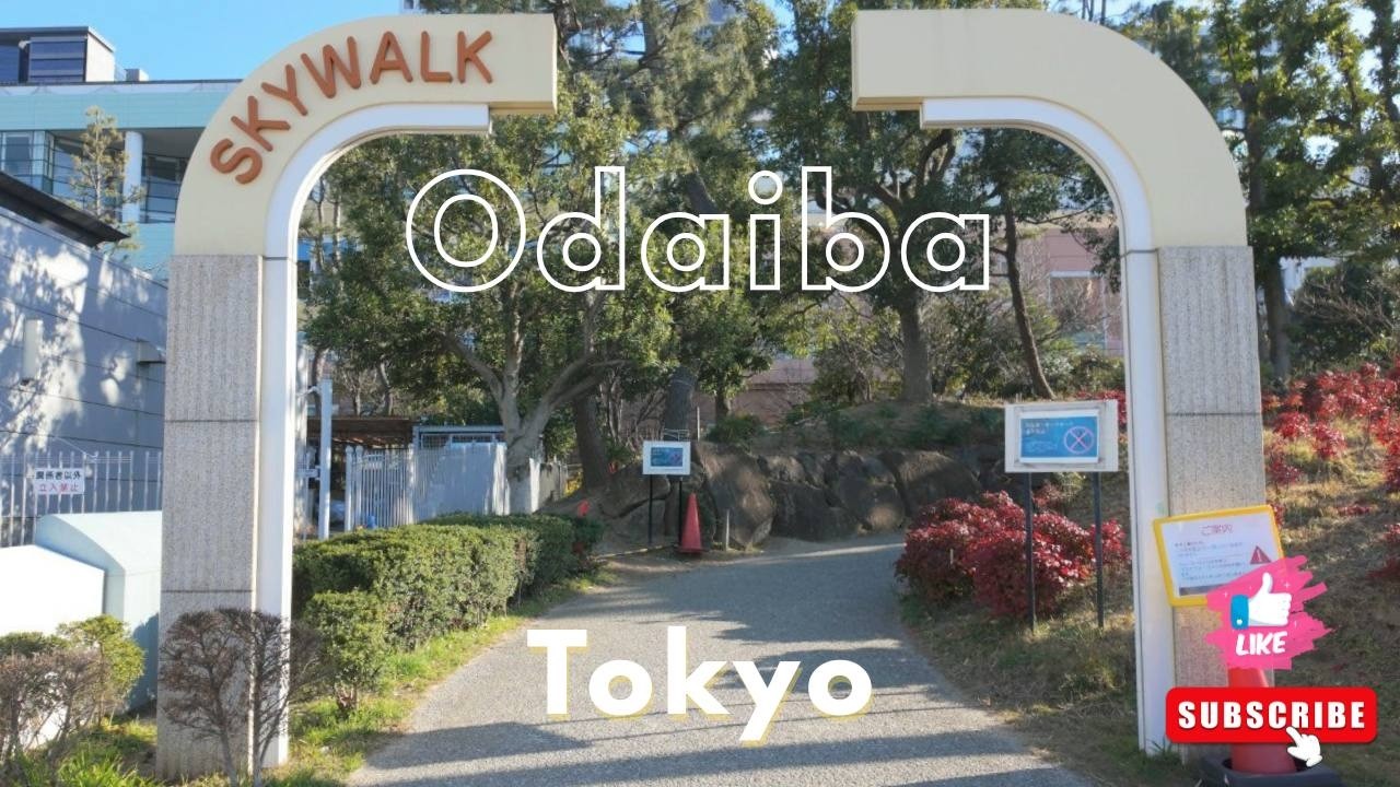 Tokyo Odaiba Walking Tour — Waterfront, Skywalk & Cityscape