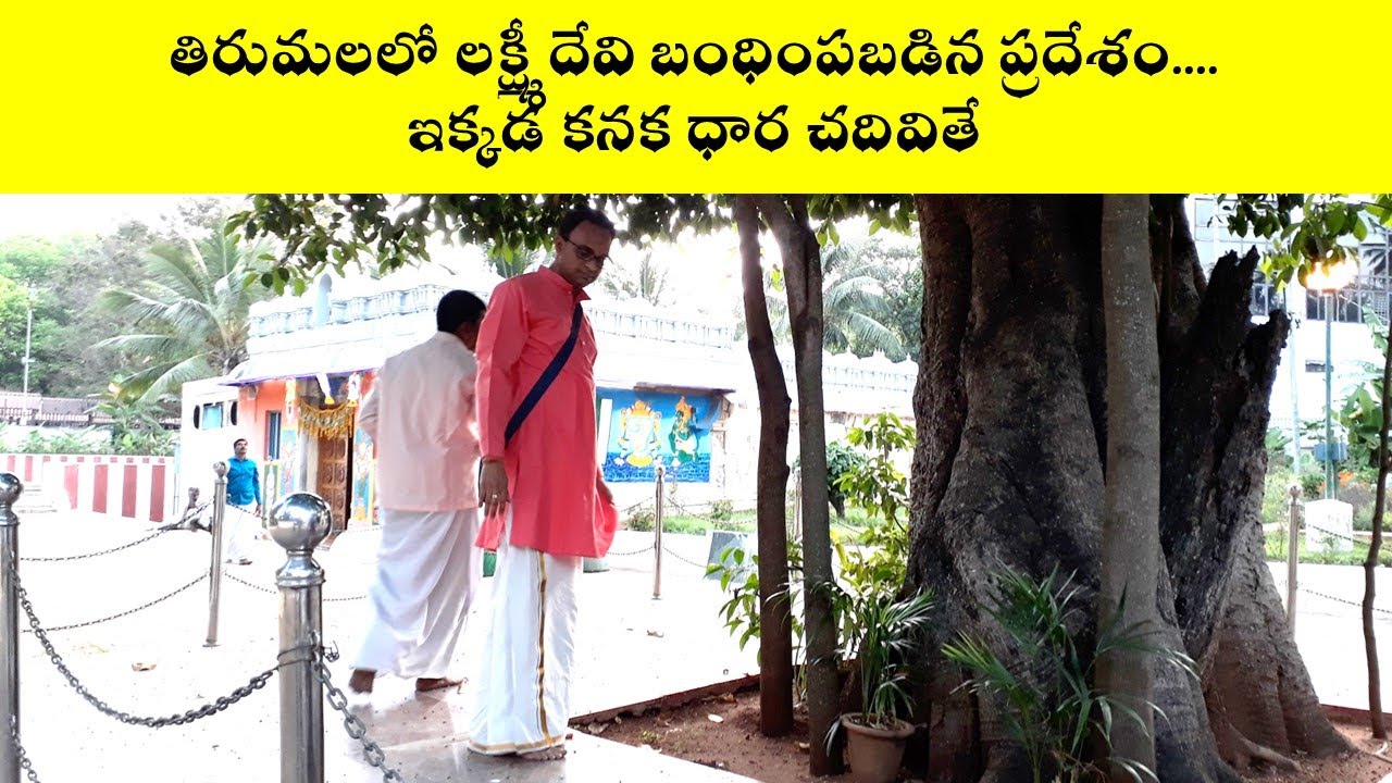 తిరుమలలో లక్ష్మీ దేవిని బంధించిన ప్రదేశం  - ఇక్కడ కనకధార చదివితే | Anantalwar | Nanduri Srinivas