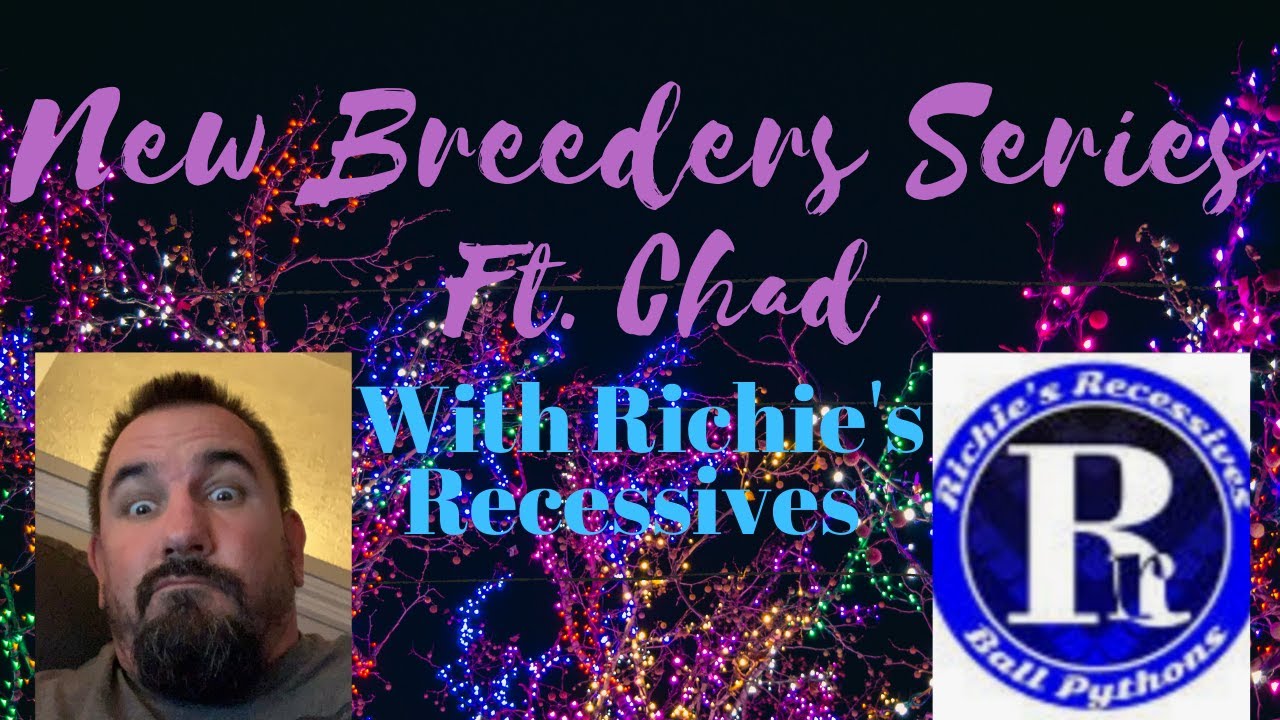 New Breeders Series : Chad with Richie's Recessives