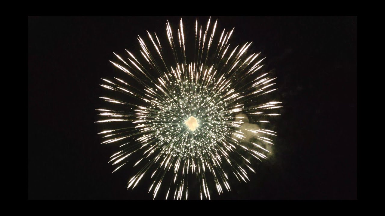 Compilation of EPIC Display Shells ! Maltese Cylindrical and Ball Shells, up to 27 inches!