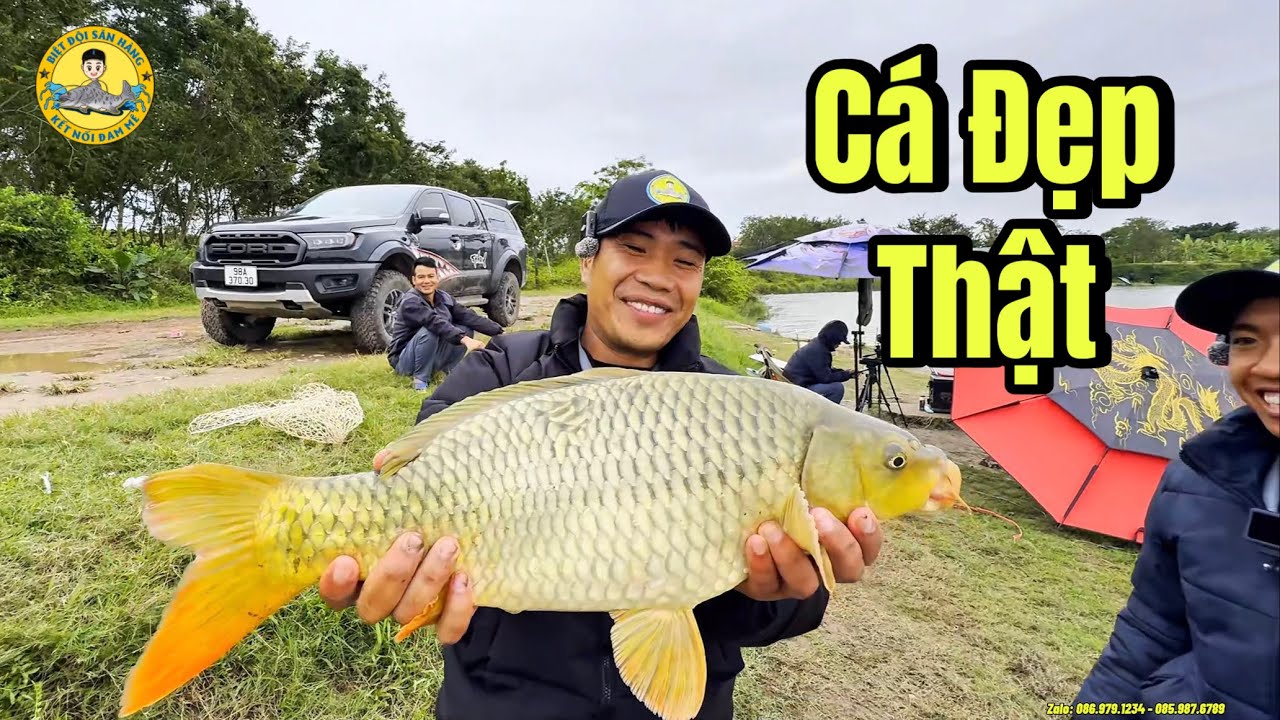Câu Cá ở Hồ Bán Tự Nhiên: Bị Cá Lôi Mất Cần?