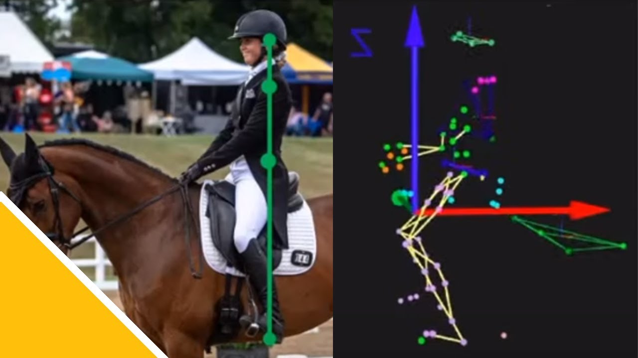Equestrian Rider Biomechanics | Dr Céleste Wilkins