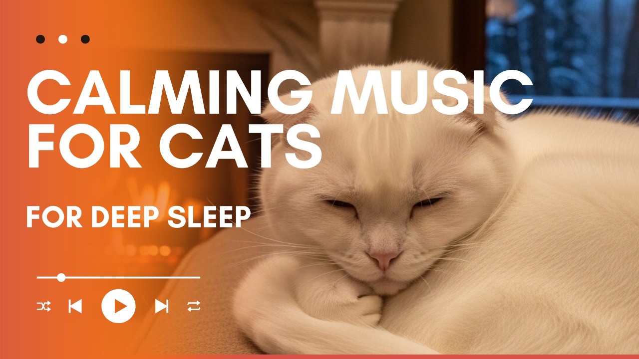 Deep Sleep Music for Cats | Calming Piano & Relaxing Music for Anxious Cats