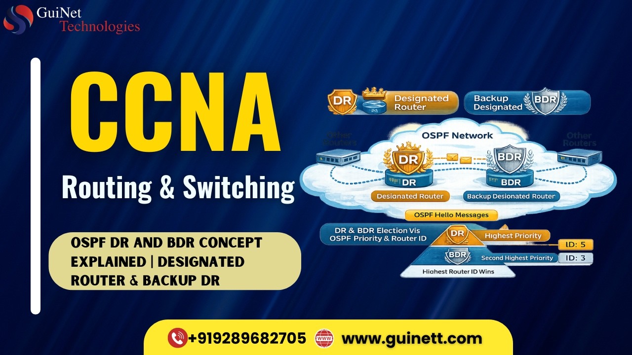 OSPF DR and BDR Concept Explained | Designated Router & Backup DR