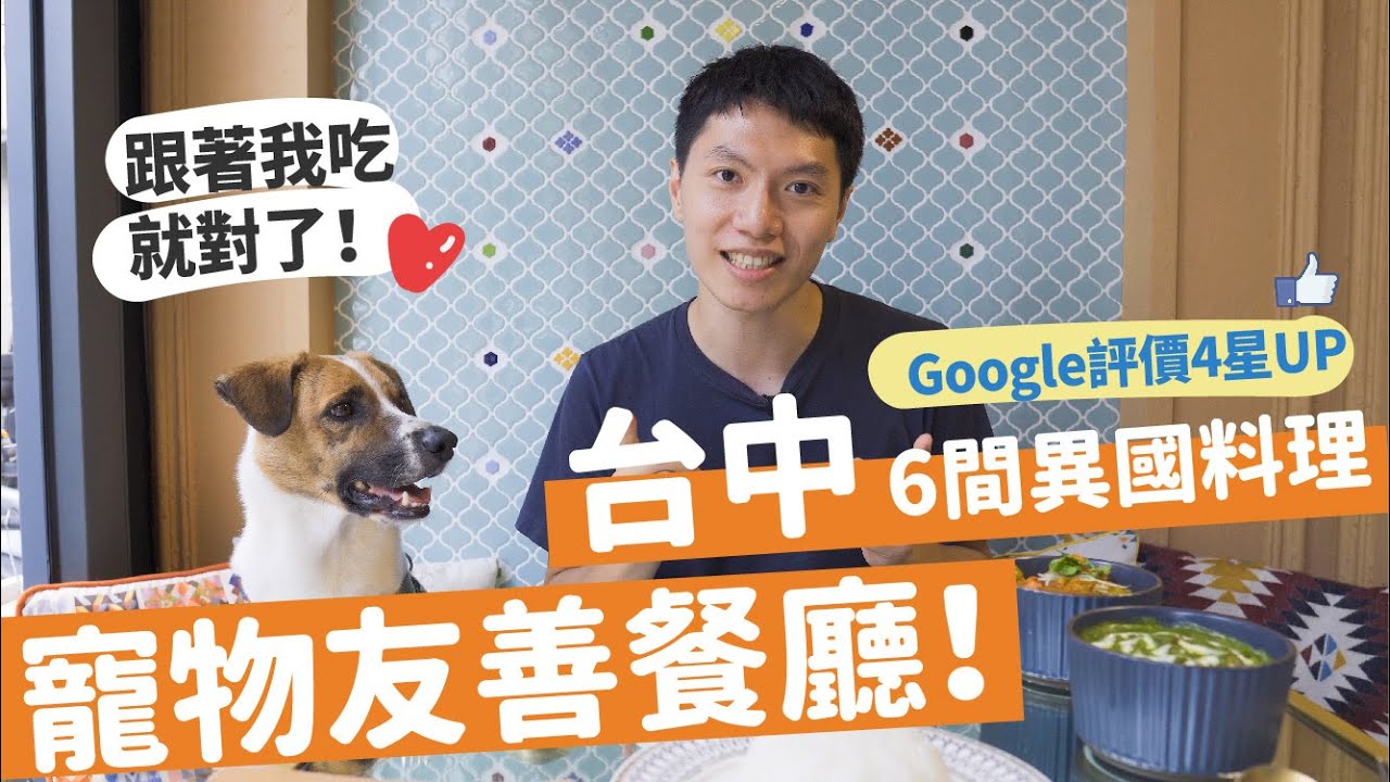 台中寵物友善餐廳大公開🍽️6間超美味異國料理！竟然還有酒吧🍷和居酒屋🍻？【Nemo去哪玩EP6】