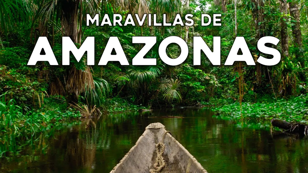 MARAVILLAS DEL AMAZONAS | Guía de Viaje por el Pulmón Verde del Planeta en 4K