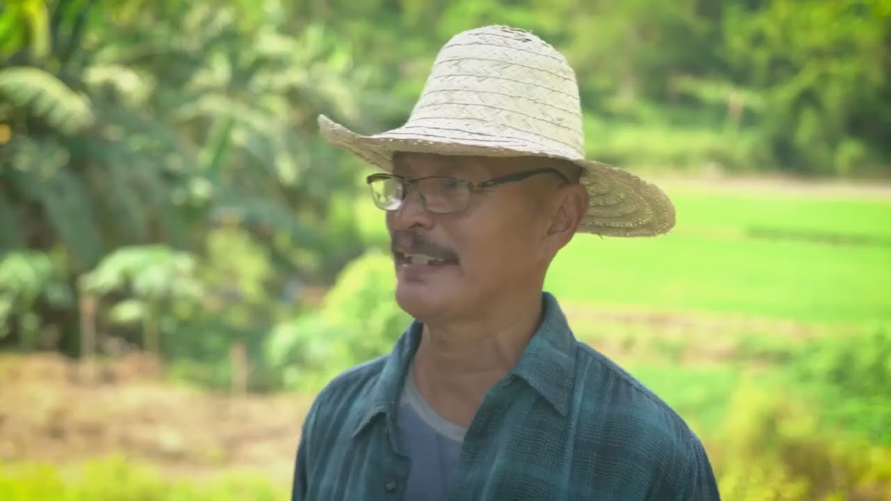 RICE DRUM SEEDER | Interview