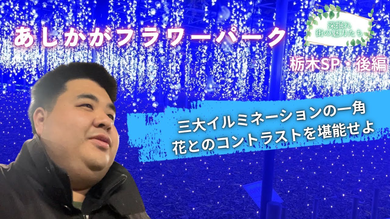最高の花とイルミネーションはここに！【深掘れ街の魅力たち 栃木SP・あしかがフラワーパーク 編】