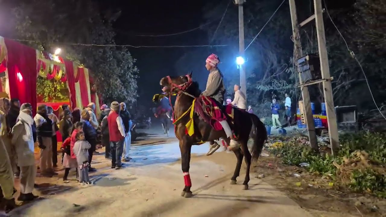 शादी में घुड़दौड़ करते हुए बाल बाल बचा....#Animal lover #horsetrack #horsriding 