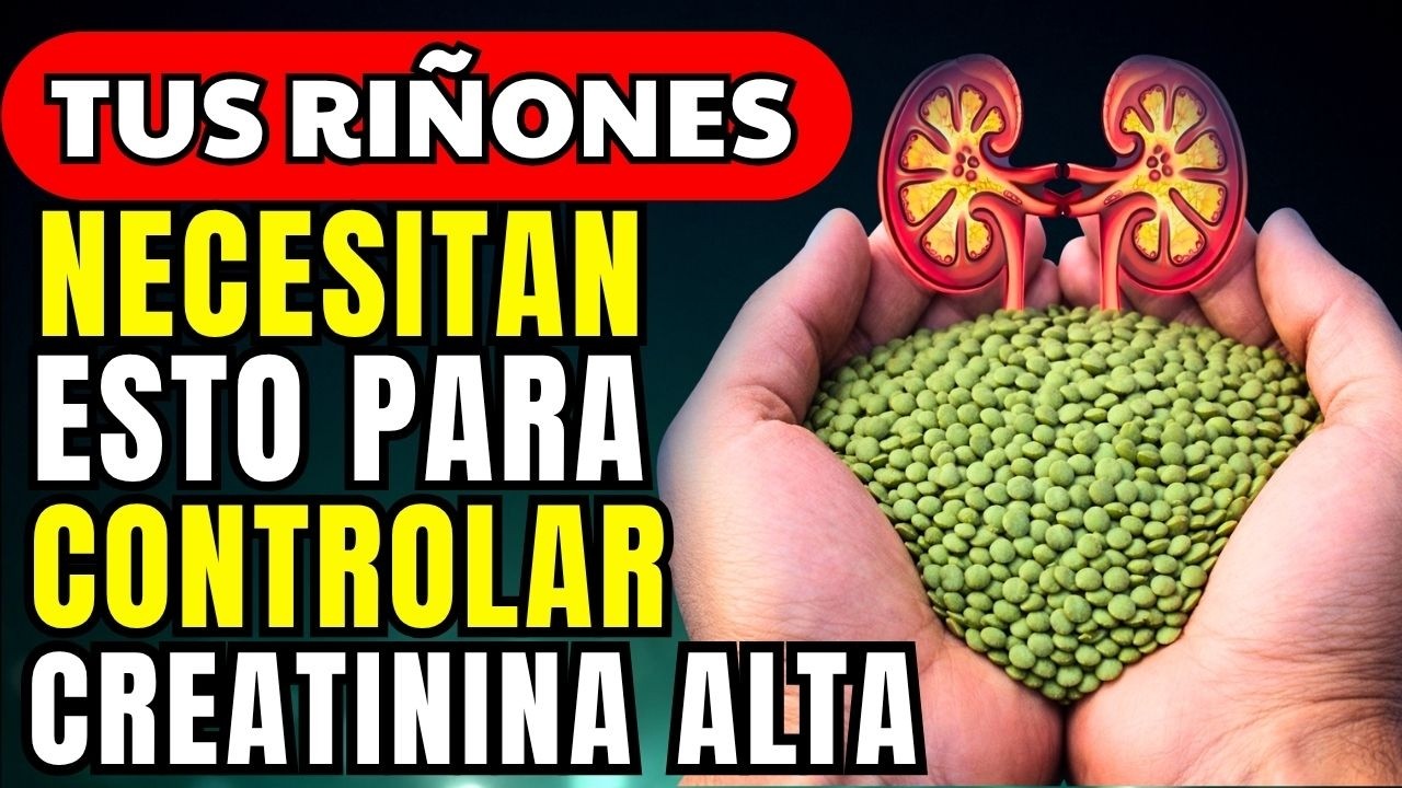 Creatinina Alta: Cómo PROTEGER tus Riñones con 6 Proteínas que Reducen la Creatinina