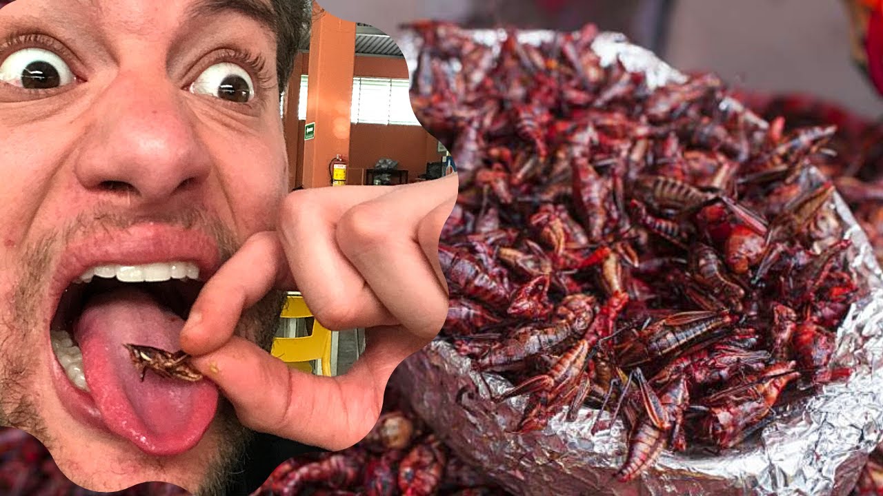 The WEIRDEST Street Food in Mexico!!! (Insects!!)