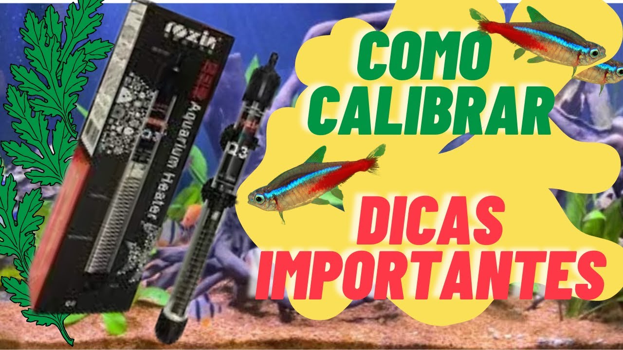Temperatura do Aquário, dicas para iniciantes (Informações importantes)