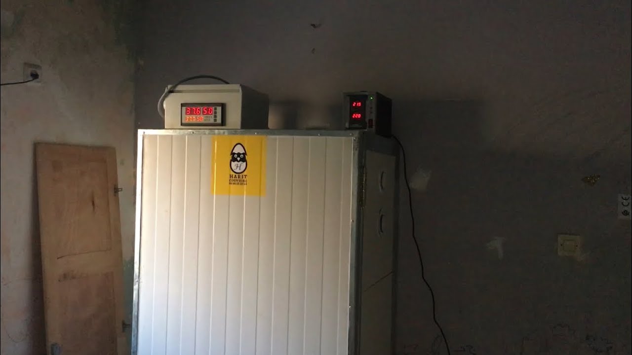 اليوم الثالت من وضع البيض داخل الفقاسة وغلق ثقوب التهوية لضبط الرطوبة فيها