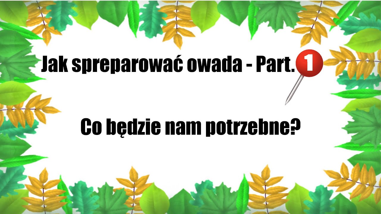 Preparowanie owad&oacute;w (podstawy) - poradnik cz. 1. Co jest potrzebne 🔬.