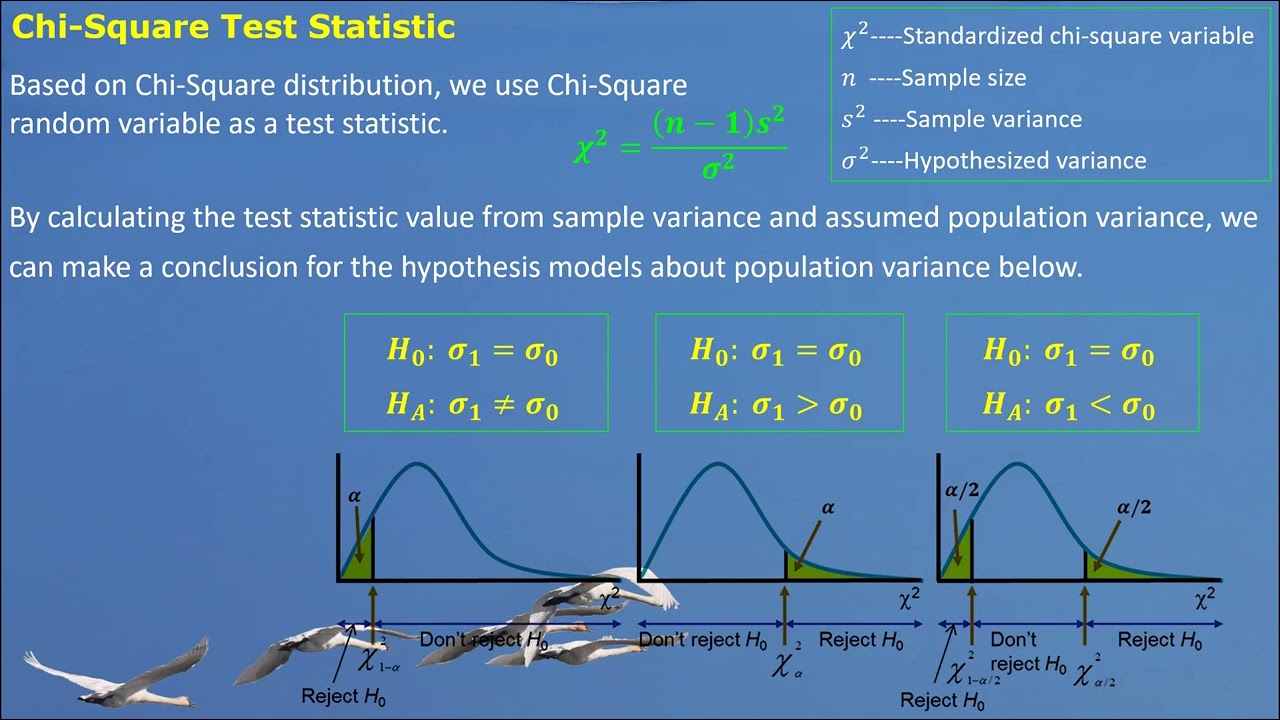 STAT ChiSquareApplications