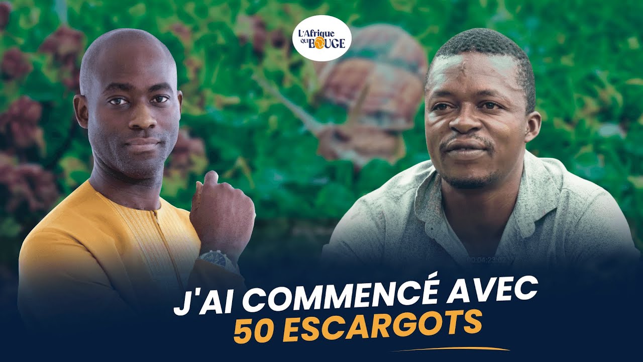Héliciculture: Élevage moins cher, très rentable,Mais négligé