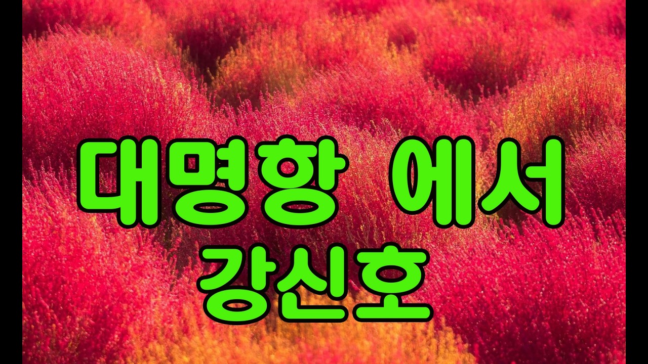 258. 대명항 에서 / 작사 : 김종원  / 작곡  /  노래 : 강신호ai(가이드송)