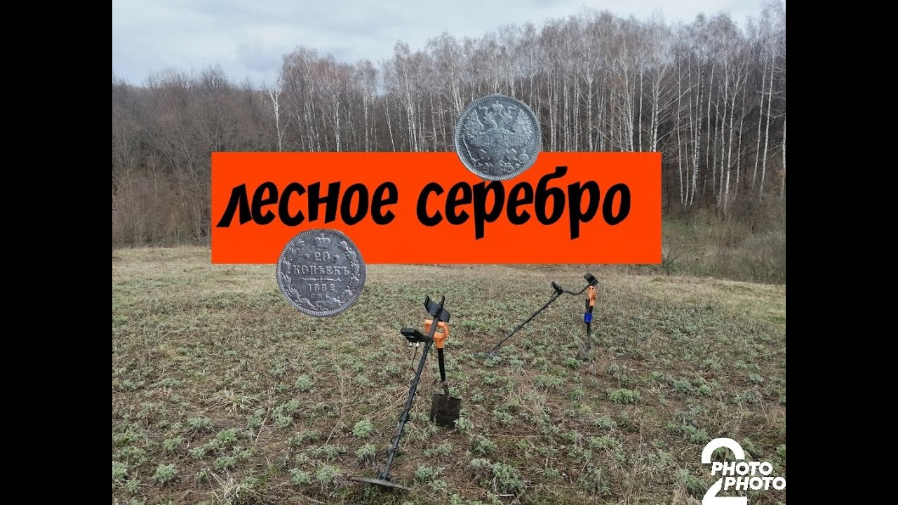лесное серебро | коп в лесу с Nokta Makro Legend