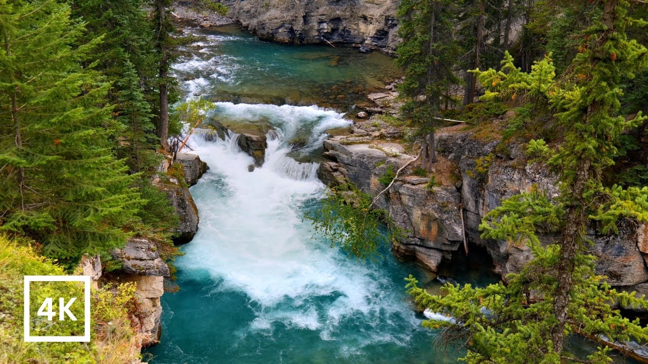 Blue Cascades | Jasper National Park | Mountain River Nature Sounds for Sleep & Study | White Noise