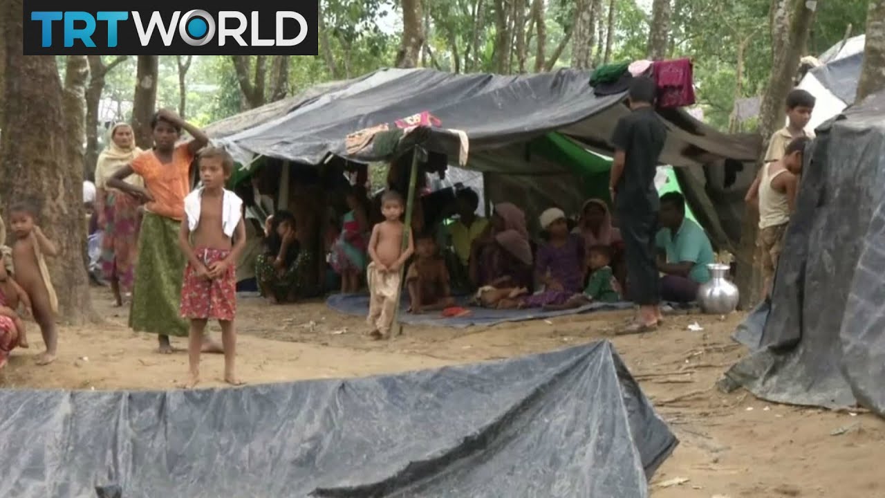 Myanmar Violence: Aid agencies call for urgent help for Rohingya