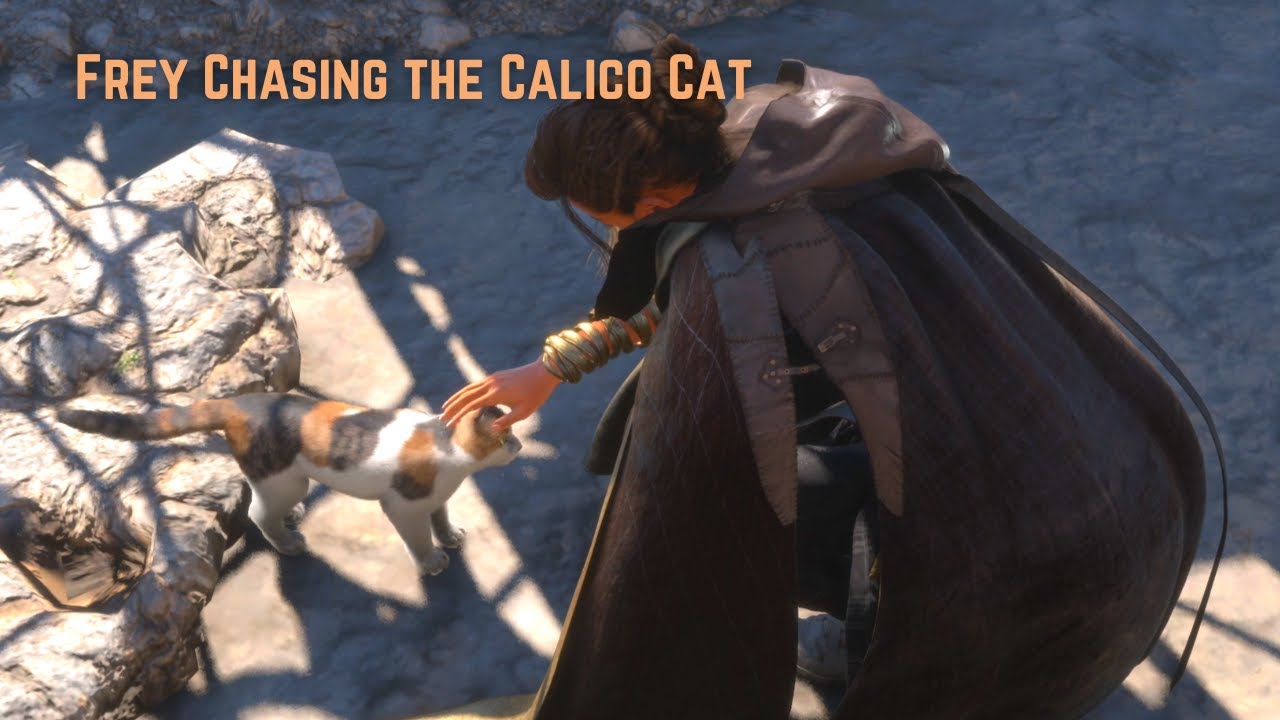 Forspoken cat chasing