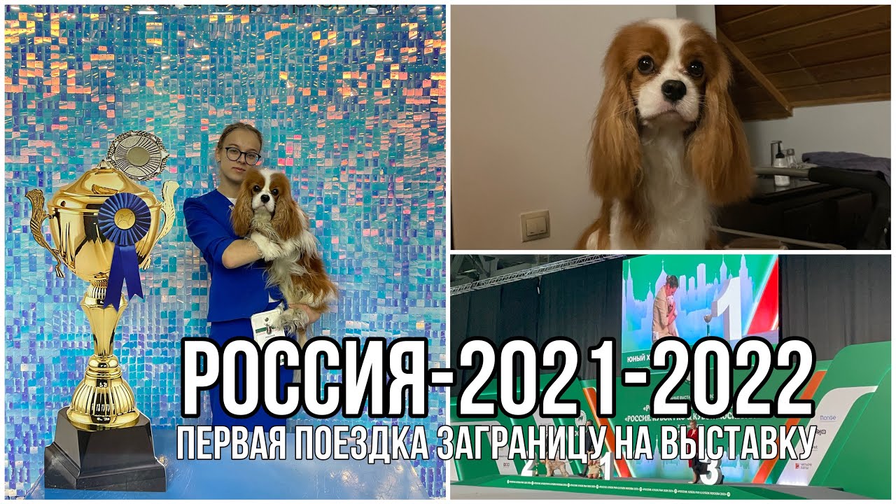 ПОЕЗДКА В МОСКВУ🏆«Россия. Кубок РКФ & Кубок Москвы 2022»