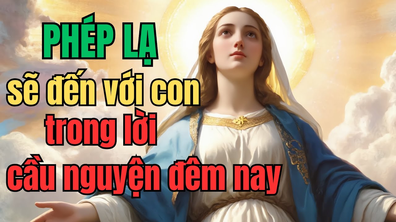 Phép lạ sẽ đến nhà con trong đêm nay qua lời kinh cầu mân côi