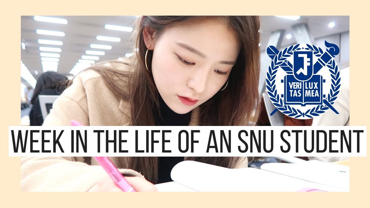 Неделя из жизни студента корейского университета | SNU Study Abroad 🇰🇷 Korea Vlog