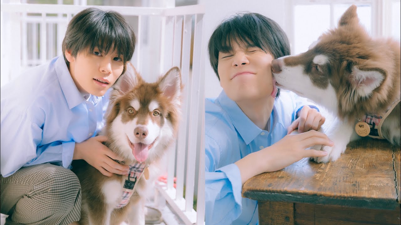萩原利久さんが遊びにきてくれました！（アラスカンマラミュート｜月刊わんこ撮影オフショット）