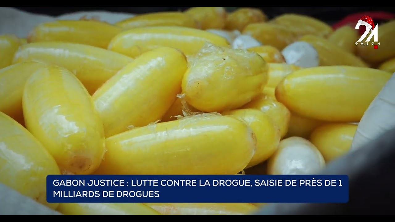 GABON JUSTICE  LUTTE CONTRE LA DROGUE, SAISIE DE PRÈS DE 1 MILLIARDS DE DROGUES