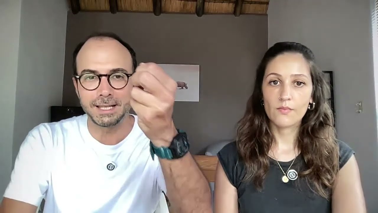 Pedir comida na mesa, segredos de recompensa, late para barulhos, compulsão em cães, engole papelão