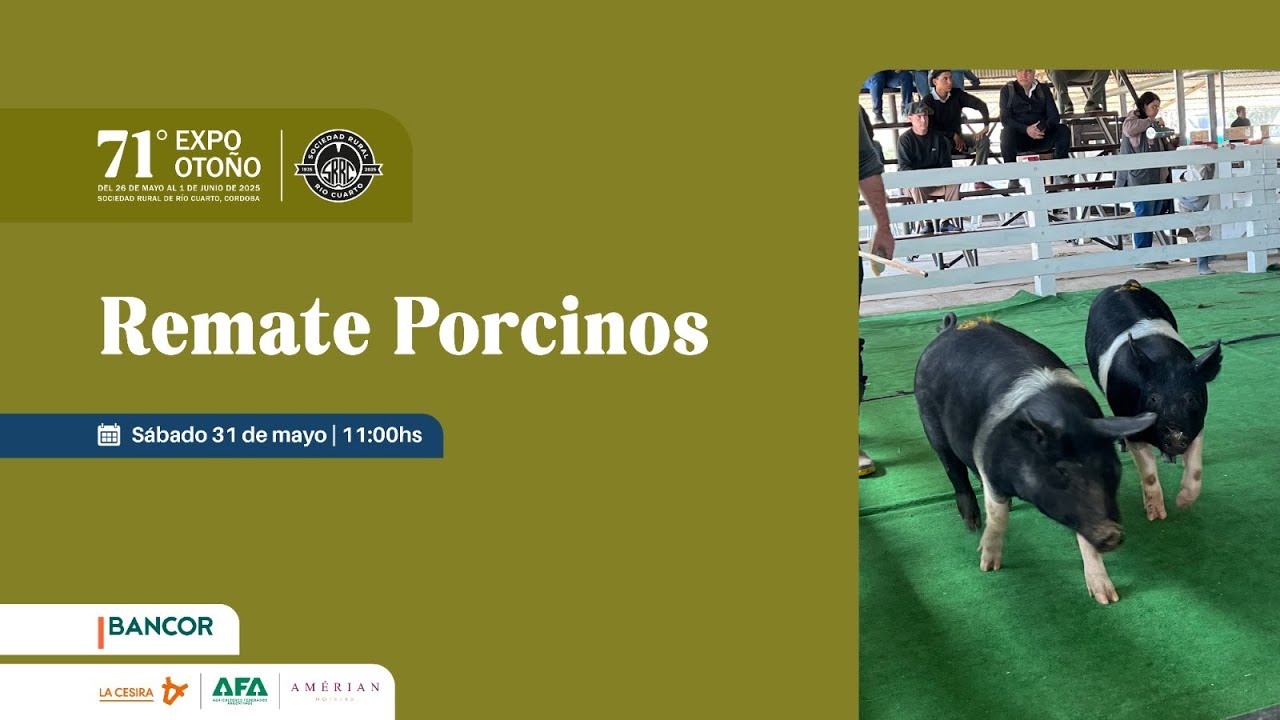 Remate Porcinos - Soc. Rural del Río Cuarto