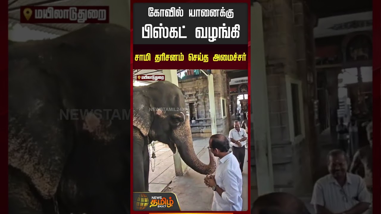 கோவில் யானைக்கு பிஸ்கட் வழங்கி சாமி தரிசனம் செய்த அமைச்சர்.!! Temple elephant fed biscuits minister
