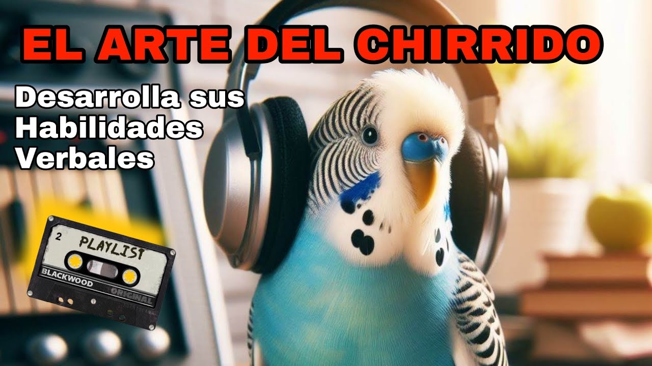 El Arte del Chirrido: Audios que Ayudan a tu Periquito a Desarrollar sus Habilidades Verbales