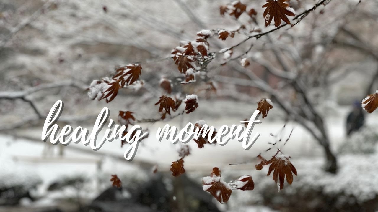 The beautiful scene of snowfall - Otaguro Park, Tokyo | 尾太黒