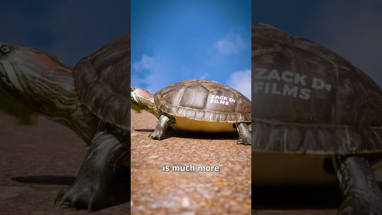 Может ли черепаха снять панцирь? 🐢