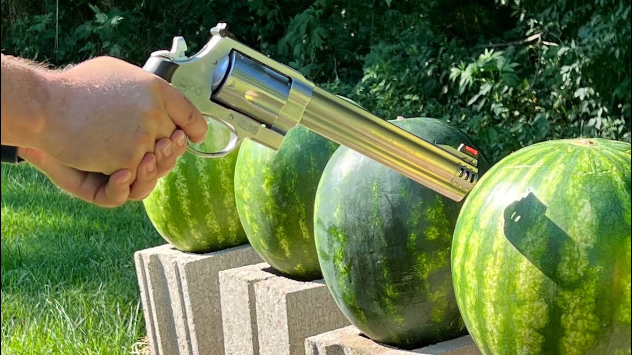 S&W 500 Magnum contra Sandías