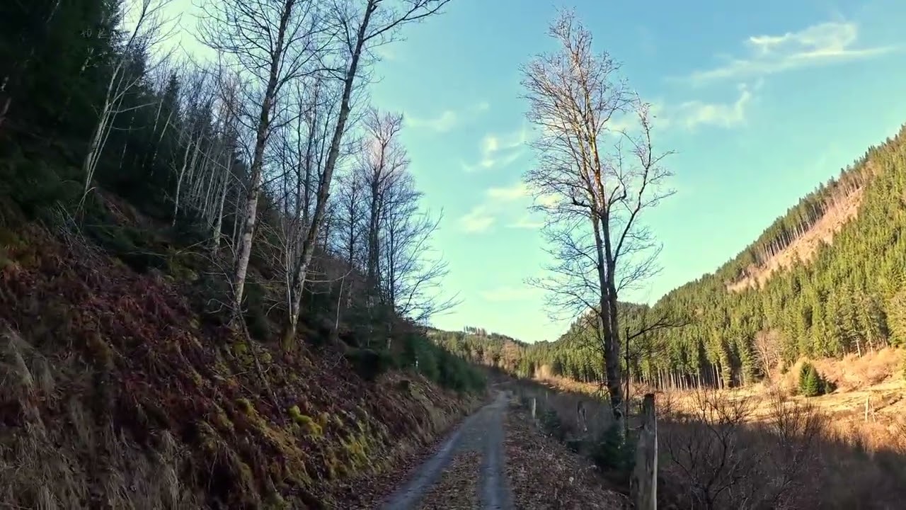 Schwarzwald,Slow Walking,Ursee-Rundweg,Part 1.