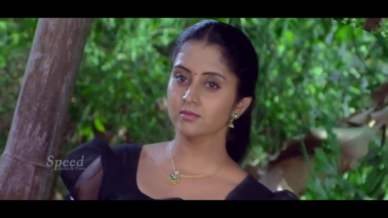 Poyi Maranju Parayathe Malayalam Movie | Kalabhavan Mani | Vimala Raman | Meghanadhan