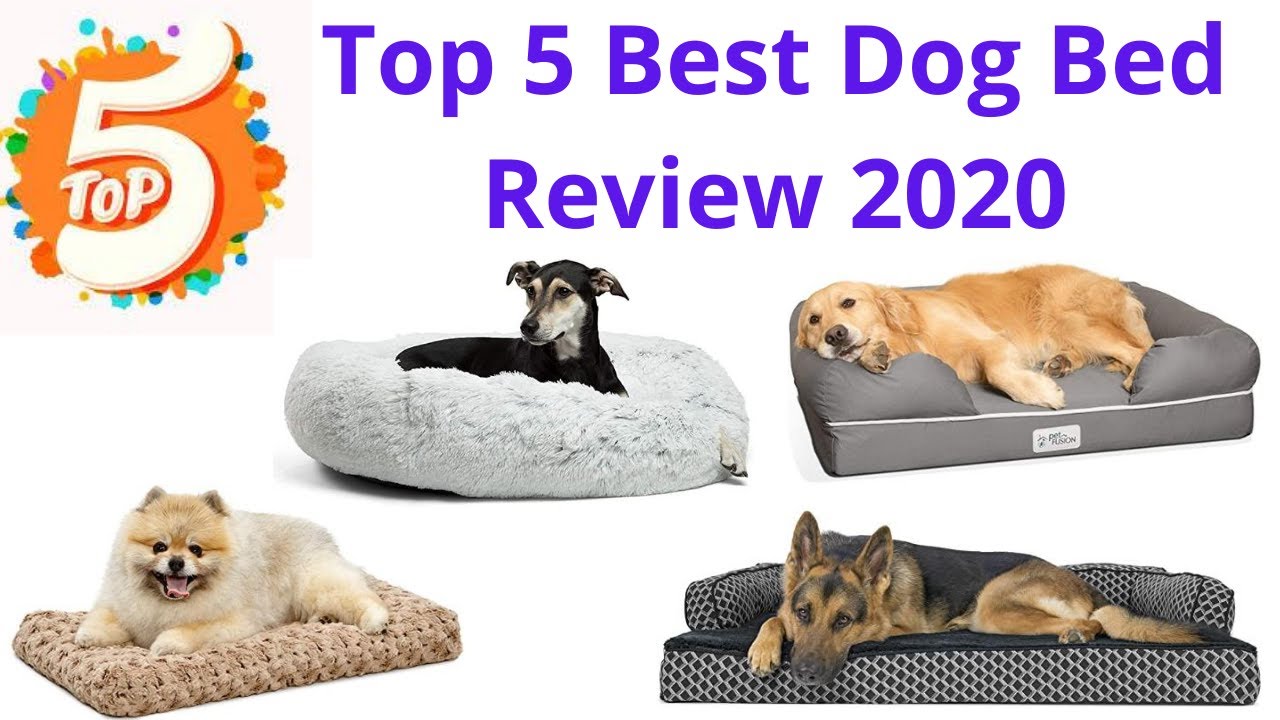 Top 5 Best Dog Bed Review 2020 - Pet Bed
