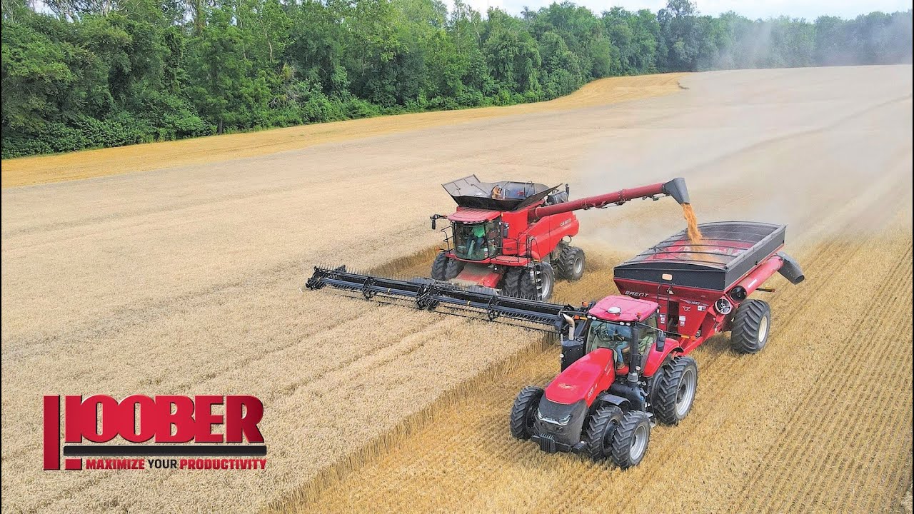 Whaley Farms Wheat Harvest with Case IH 8250 Combines - Queenstown, MD