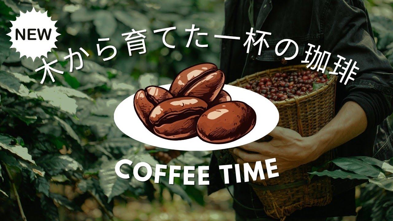 一から珈琲作ってみた。味わい深いですが、私はこれが好きだったって分かった。大好きな時間。