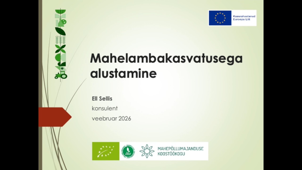 Mahelambakasvatusega alustamine 2026
