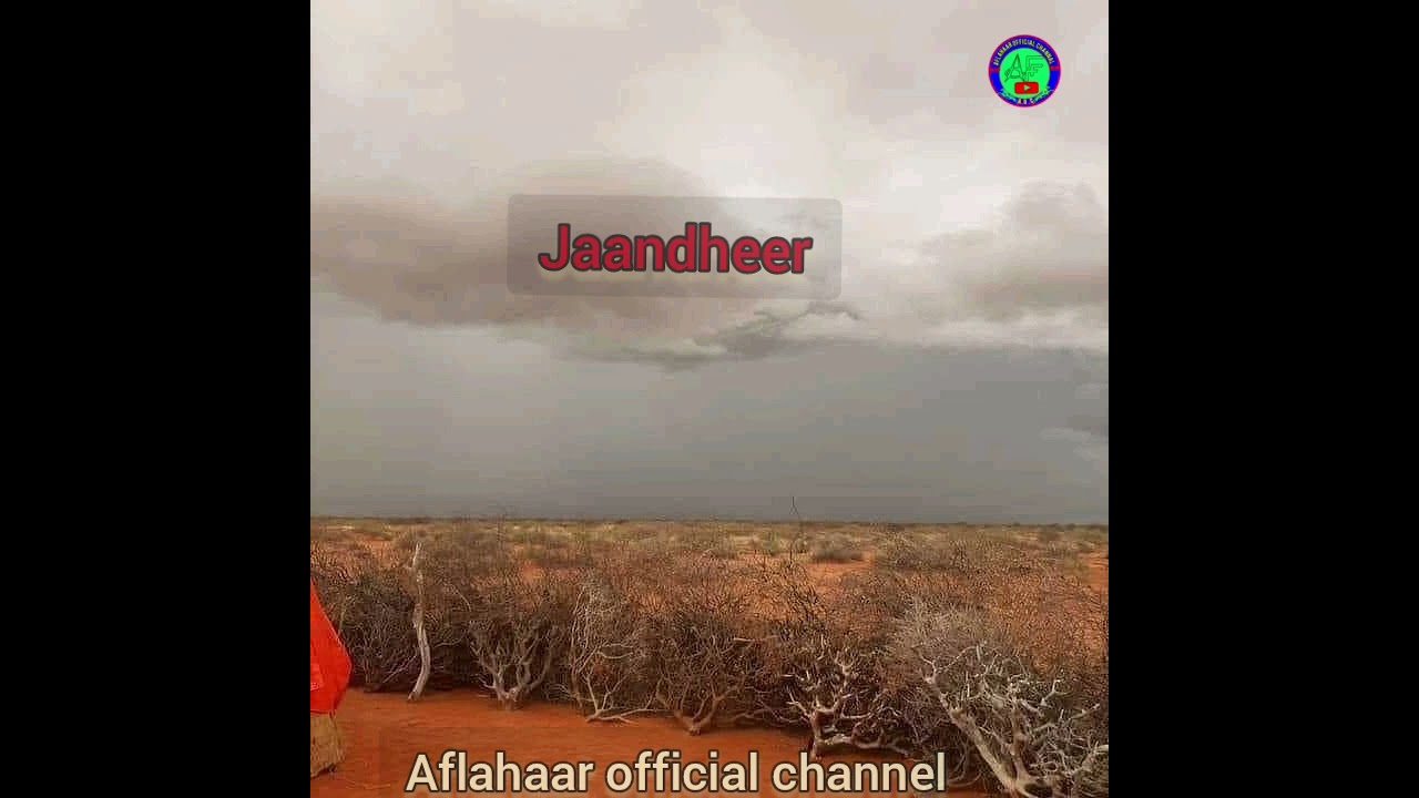 JAANDHEER CUSUB DHALANDHOOL IYO DHIBLE